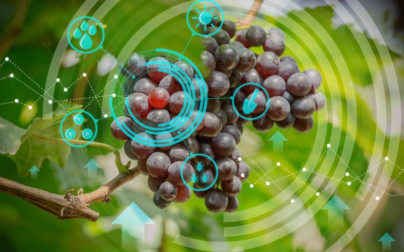 Agilite et innovation iStock-1044870682-web